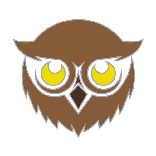 Owl-29S