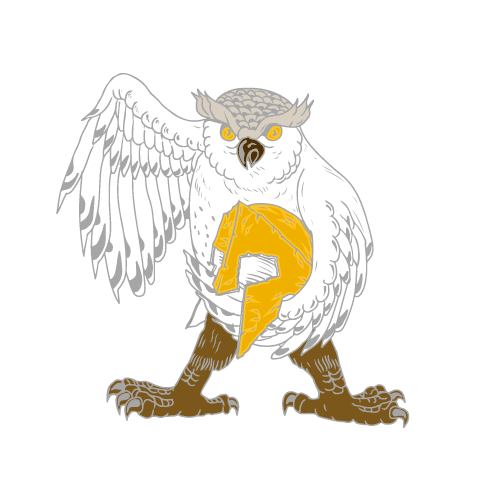 Owl-36S