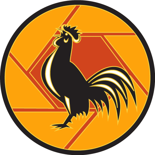 Rooster-32G
