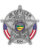 Jr Police Sticker Badges for Kids
