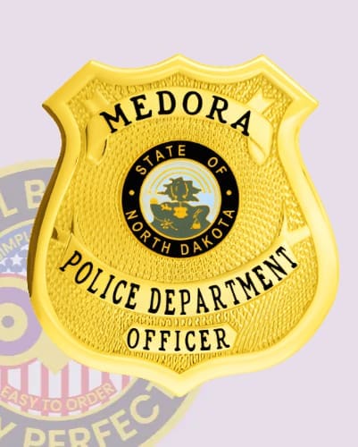 Gold custom law enforcement badges